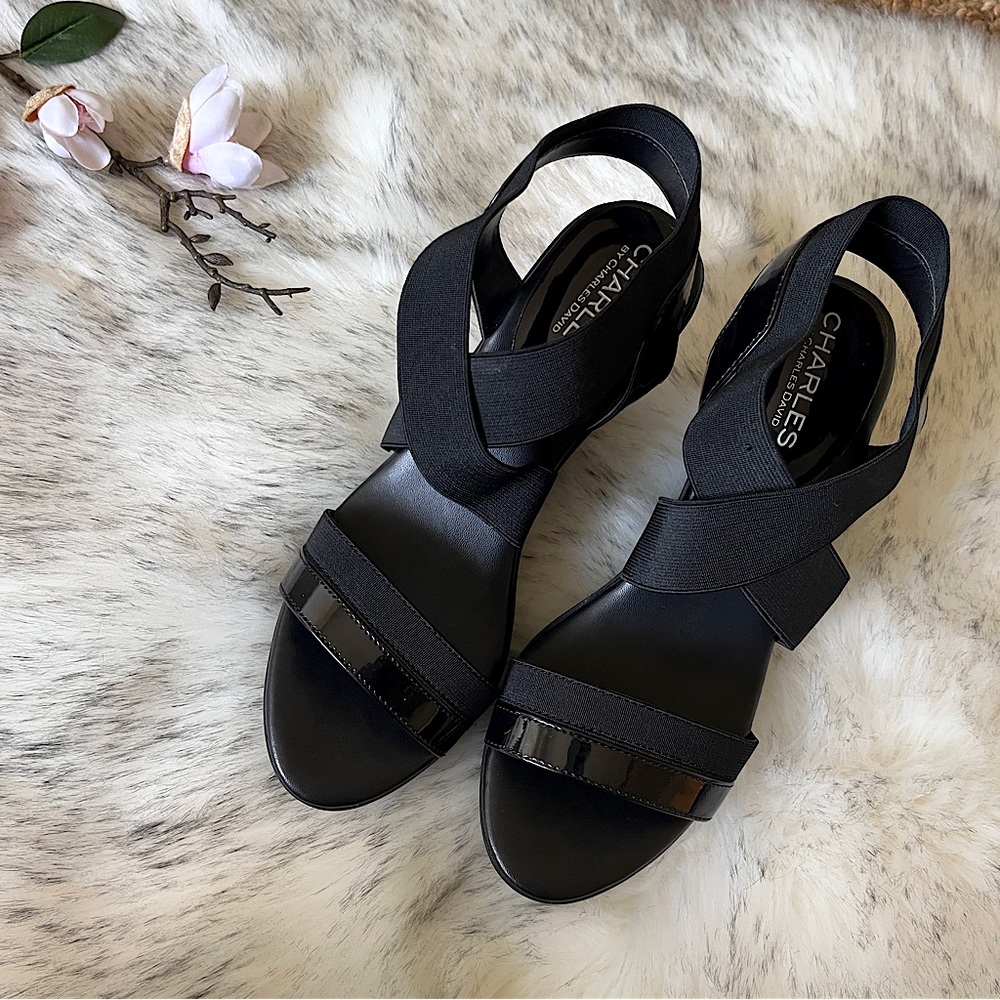New 🍭 Charles by Charles David Pager Sandals 7W